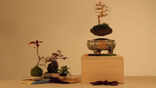 Cây[-]Bonsai[-]bay[-]“độc,[-]dị”[-]của[-]người[-]Nhật